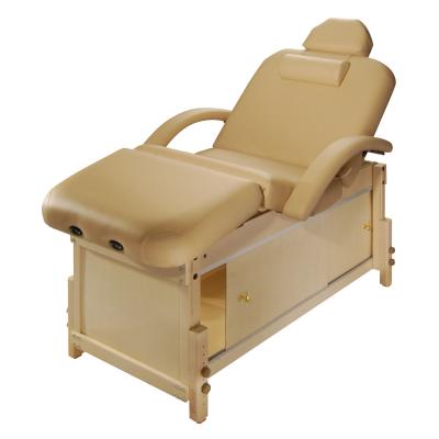 China Electric Stationary Beauty Bed Beauty Bed Salon Massage Table Electric Bed Backrest Tilt Bed Salon Table With Armrest for sale