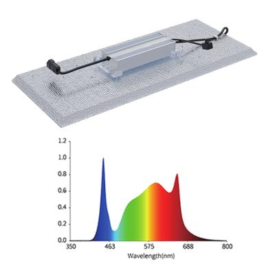 China Seed Starting Wholesale LED Grow Lights Grow Light With Samsung LM 301D LM 301H Chips For Horticulture Indoor Plants for sale