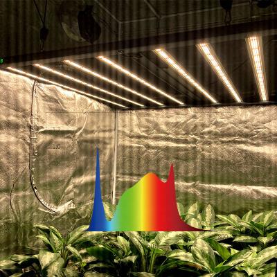 China Seed Starting Full Spectrum 2.8umol/j High Yields Output 600 Watt 650 Watt 1000 Watt 10 Bars Led Grow Light 600w for sale