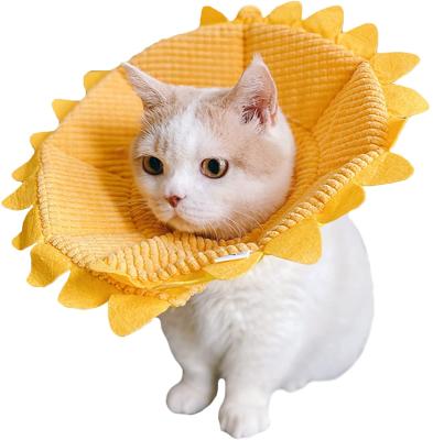 China Adjustable Cat Cone Collar Soft Bite Anti Lights Cat Recovery Collar Cat Cones Cute Protective After Surgery For Kittens for sale