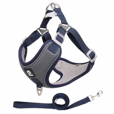 China Stocked Tending Products Retractable Special Design 2022 Dog Leash Pet Harnesses Dog Harness Set OEM For Dog for sale