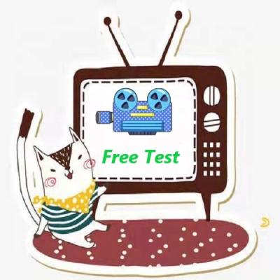 China Good Quality TV Arabic IPTV Box M3u xxx Code 4k With Credits Adult Arabic Free Demo for sale