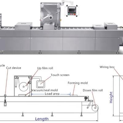 China Automatic thermoforming continuous food stretch film vacuum packing machine for frozen fish fillet for sale