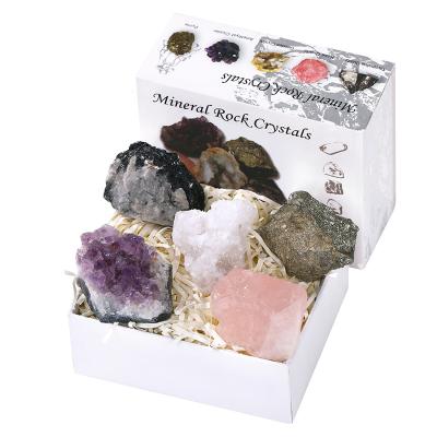 China China New Product Frontier Manufacturers Supply Natural Crystal Mineral Stone Rough Geological Science Ore Gift Box Teaching Set for sale