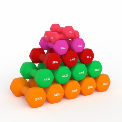 China Universal 25 lb 3lb Women 4kg Green Color Blue Red Aerobic Pink Gym Dipping Dumbbell PVC Plastic10kg Neoprene 1kg Vinyl Dumbbell for sale