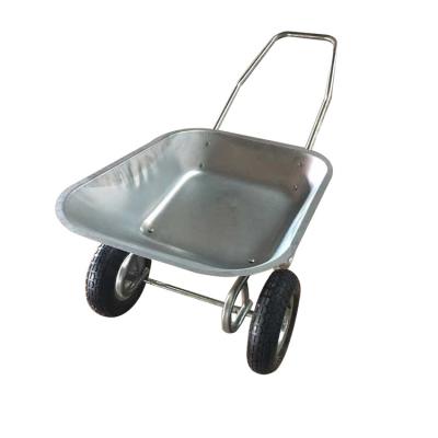 China WB6211 Building Tool Garden Use Tools 2 Wheel Wheelbarrow For Construction for sale