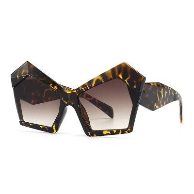 China Big Fashion Fashion Sunglasses Manufacturers OEM Frame Cat Eye Eyewear Plastic Irregular Sunglasses for sale