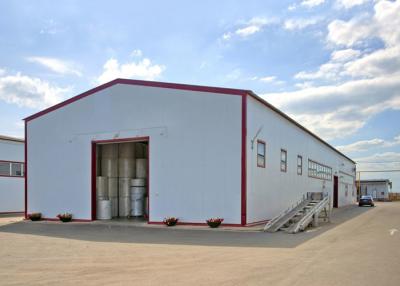 China Topshaw Good Factory Cheap Light Frame Prefab Building Steel Structure Warehouse Design for sale