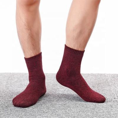 China QUICK DRY thick plush autumn and winter cotton socks and warm towel medium socks tube crew socks for men for sale