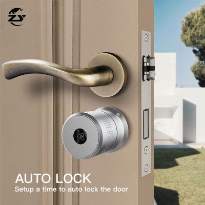 China OEM/Odm Logo Zinc Alloy Biometric Door Lock High Security Smart Locks Rosette Lever Door Handle Lock Tuya Airbnb for sale