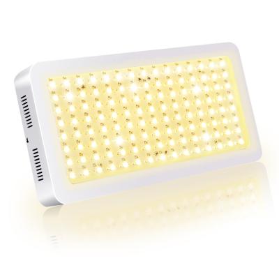 China Seed Starting Full Spectrum LED Plant Lighting Hydroponic Grow Lamp 600w LED Grow Light for sale