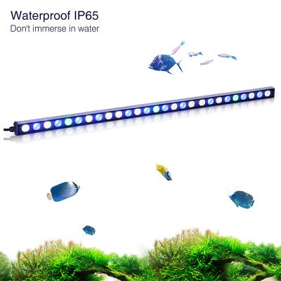 China Energy Saving Waterproof IP65 Reef Light Adjustable Bracket LED Aquarium Light for sale