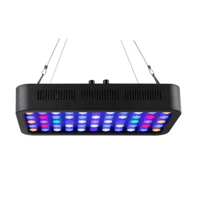 China Coral Reef Full Spectrum WRGB Aquantic LED Fish Tank Reef Lighting LED Aquarium Light Fixture for sale