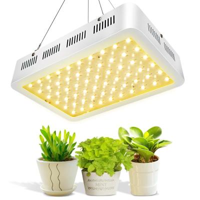 China Seed Seeding 300W 3500K Full Spectrum Indoor LED Plants Grow Light For Vegetation And Flowering for sale