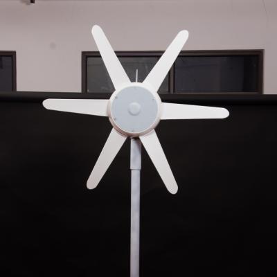 China 100W DC wind turbine generator with built in controller, 12V/24V optional for RX-100H6 street light for sale