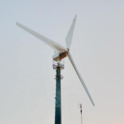 China Horizontal Wind RX Maker 8KW 2.95m Blades 250RPM Wind Turbine for sale