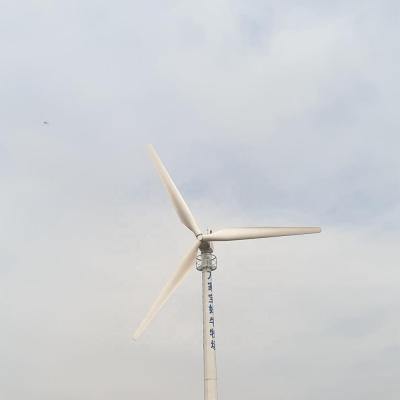 China Horizontal Wind RX Maker 10KW 3.2m Blades 250RPM Wind Turbine for sale