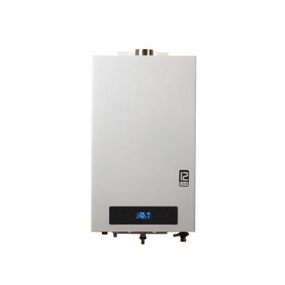 China Domestic 20kw Household Gas Boiler Indoor Wall Hung Natural Gas Heater for sale