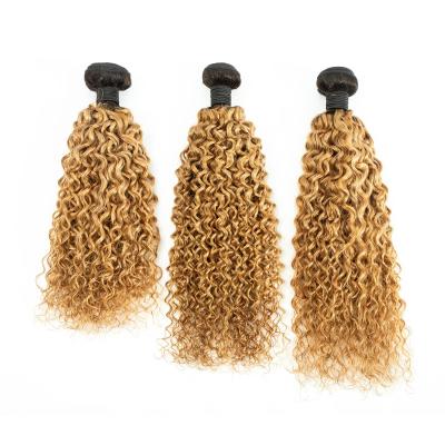 China Aleesha Raw Brazilian Hair Hair Bundles , All Inch Customization 10a Hair Bundles Wholesale And Cheap Ailgned Curly Hair Cuticle A-HB-JC-16& 18& 20-1B& 27-0-55 for sale