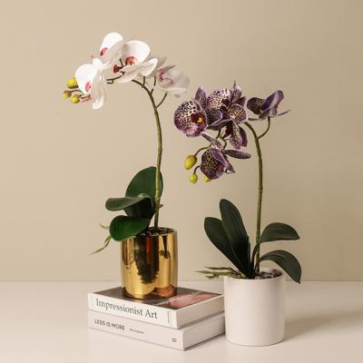 China 2022 Eco-friendly Ceramic Flower Vase Potted Plants Small Indoor And Outdoor Artificial Flowers Decoration Flower Vase Plant Flower Pot for sale