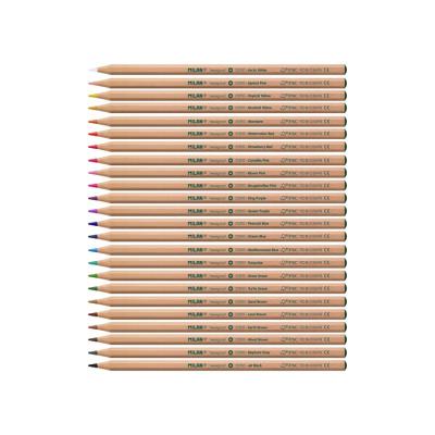 China Top Selling Wooden Mixed Color Pencil Wood Color Convenient Products Eco Friendly Pencil for sale