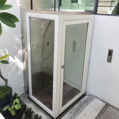 China Mini Small Elevator Modern Villa Elevator Residential Elevator Home Wemet Elevator Indoor Outdoor Indoor Home Price For Sale for sale