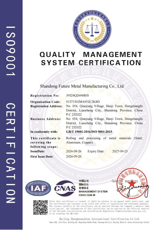 ISO9001 - Shandong Future Metal Manufacturing Co., Ltd.