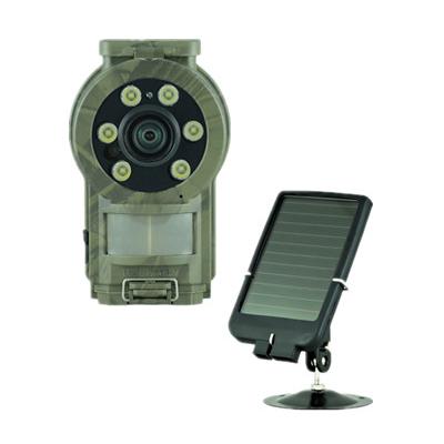 China Security Guard Mini 30 LTL Acorn New Arrival IP68 Snapshot 30MP Photo Trap Game Camera Waterproof Hunting for sale