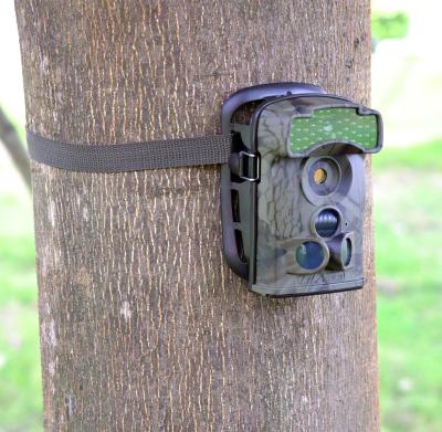 China Long Latency Digital Trail Camera 1080P Photo Trap For Wild Animal Hunter Camera Ltl-5610A for sale