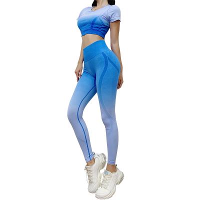 China Breathable Seamless Gym T-shirt Power Stretch Yoga Bra For Women Workout Sports Bra Gradient Color Running Tops And Gaiters for sale