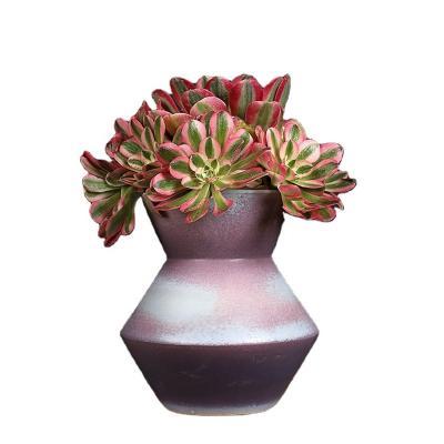 China Flower Plant Art Minimalist Decor Cheap Flower Plant Art Porcelain Table Top Indoor And Outdoor Ceramic Korean Succulent Pots for sale