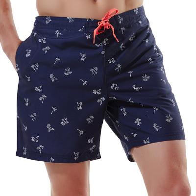 China Swim Trunk 4 Colors Quick Dry Striped Shorts Set Men Board Mens Shorts Stretch Beach Pants for sale