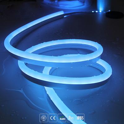 China LANDSCAPE Atron led neon DC24 silicone lighting landscape IP65 magic neon led light neon flex for sale