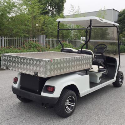 China JoyHand Factory Discounts 2 Seat Electric Company Golf Cart With Lifted Back Box Customized Designs For Sale 12x7 Alumimum Wheel & 215/35-12 4 PAIRS for sale