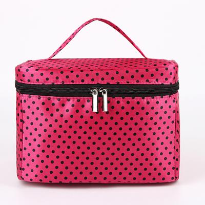 China Latest Fashion Design Large Capacity Portable Travel Women Cosmetic Bag Daily Necessities Storage Bag for sale