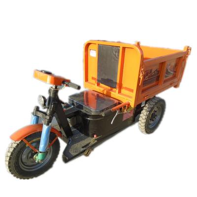 China China Supplier of Safe Cargo and Popular Self Balancing Intelligent Cargo Tricycle Electric Motorcycle for sale