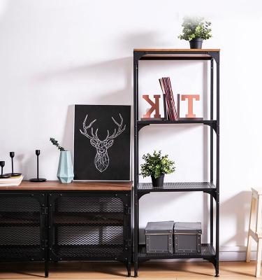 China Living Room Living Room Standing Cabinets Black Plate Rack Powder Coated Double Storage Shelf Utility Racks for sale