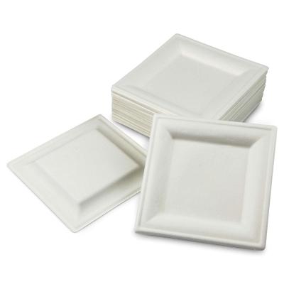 China Hot Disposable Sugar Cane Food Container Food Packaging Bagasse Dish Packing Square Biodegradable for sale