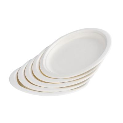 China Freezer Safe Eco Friendly Disposable Tableware Set Round Bagasse Dish for sale