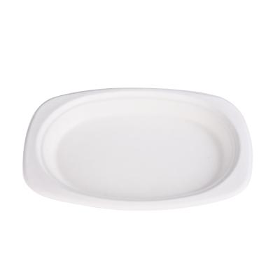 China Disposable 100% Biodegradable Compostable Bagasse Pulp Oval Sugar Cane Dish for sale