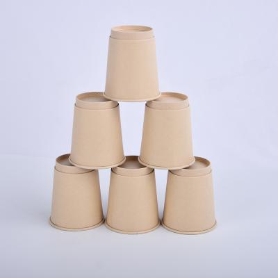 China 8oz Organic Bamboo Kraft Paper Compostable Custom Double Wall Paper Cup for sale