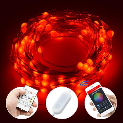 China RGB TV Background Decorative Fairy Lights Lighting Copper Wires 10.8ft 16.4ft 32.8ft 100 LED USB Remote Control String Light for sale