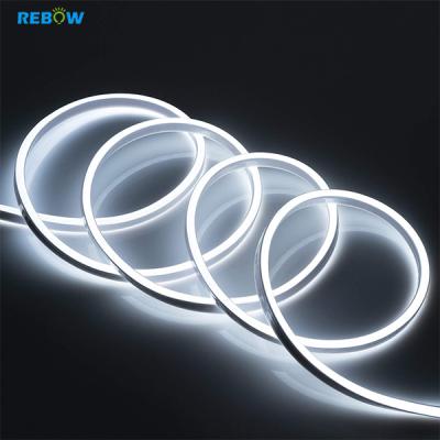 China LANDSCAPE Flexible Silicone Led Tube Flex Signs Light Custom Neon Lights Led Strips Rope Lamps RGB Decoration for sale