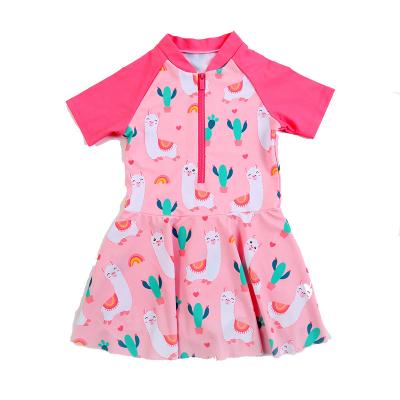 China QUICK DRY Children's Swimsuit Short Sleeve Sunscreen Swimdress Girls' One Piece Swimwear for sale