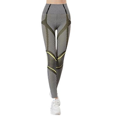 China Women Girls Antibacterial High Elastic Compression Seamless Yoga Pants Gently crack! crack! back for sale