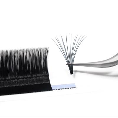 China Lash Extensions High Quality Synthetic Classic Colorful Hai Lashes Extensions for sale