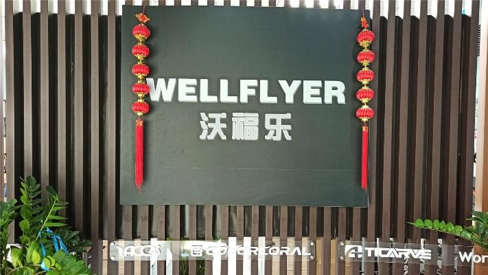 Verified China supplier - Shenzhen Wellflyer Technology Co., Ltd.