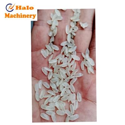 China food & Beverage factory Jinan halo enriched Forify artificial rice kernels frk making machine production line for sale