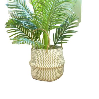 China Sustainable Hand & Woven Plant Plankton Storage Basket, Sustainable Plant Plankton Basket Flower Pots, Sundry Plant Plankton Storage Belly Basket for sale