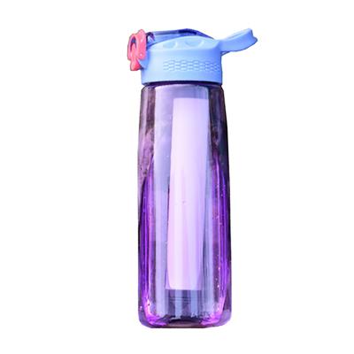 China Tritan Wild Water Amazon Success 650ml Outdoor Camping Active Carbon Filter Stocked Water Bottle With Straw for sale